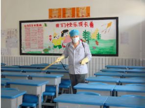 大連地區專業蟲害防治與教育咨詢服務指南